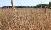 Ef5737db431a0095ff84b68d6c955d89.jpeg