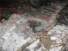 35dfc81983b974a8f953741fd72e4ace.jpeg