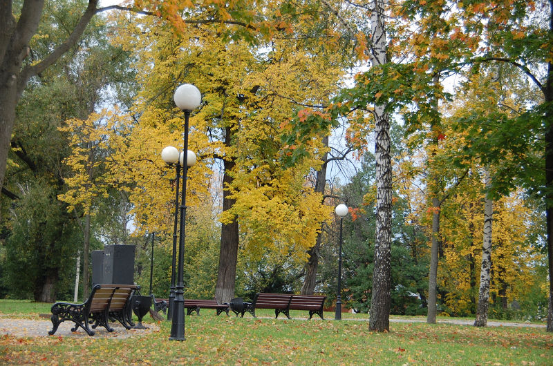 Файл:7785b396d81c54633fa0112b36013b60.jpeg