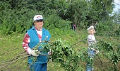 Миниатюра для версии от 07:46, 16 декабря 2024