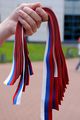 Миниатюра для версии от 03:13, 20 декабря 2024