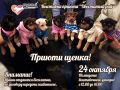 Миниатюра для версии от 16:00, 16 декабря 2024