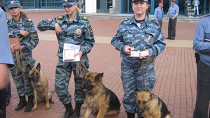 Ecfc020fe21c501daf8004188ce98943.jpeg