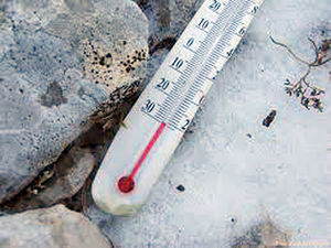 46c7bb230d7b1b54cd5b4f961946f24c.jpeg
