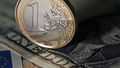 Миниатюра для версии от 16:52, 14 декабря 2024