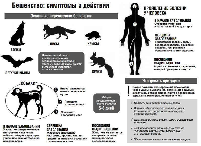 Файл:8137f74d4a5b3bc5de19bbb48b0838b8.jpeg