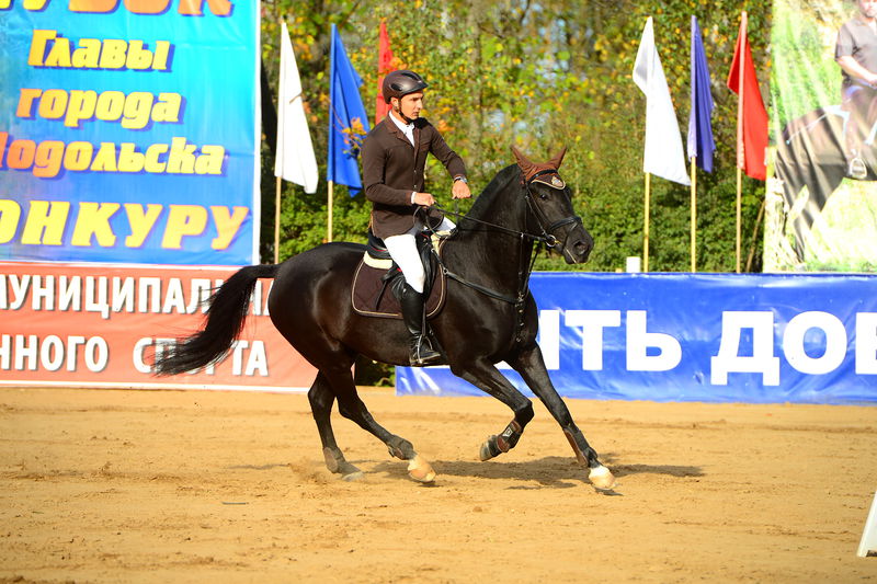 Файл:2700cfa018531bc1c228e9023ff7aaf8.jpeg