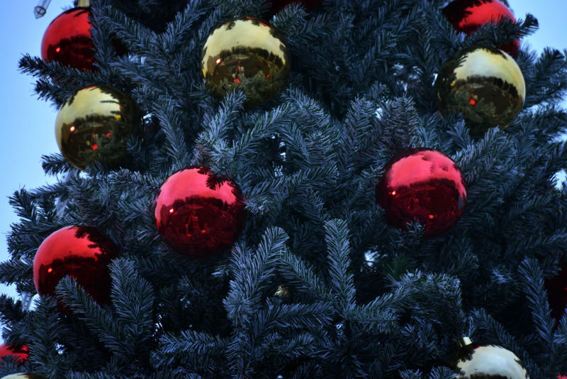 Файл:54577df220219a846d42d1724246e411.jpeg