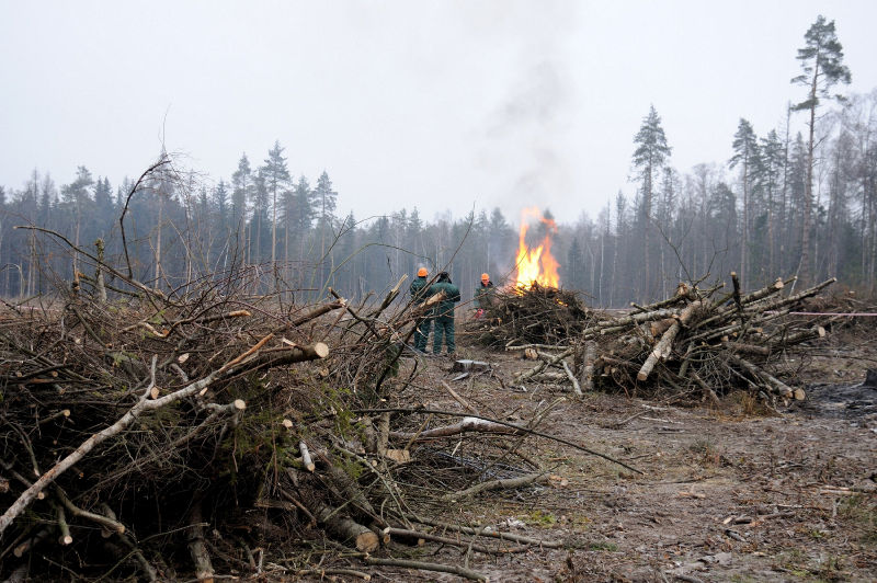 Файл:84dc06f28ff2f28bdfa94a83c36411a4.jpeg