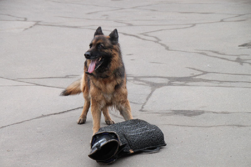 Файл:B5da2881043a24db9ae32d7e942282ac.jpeg