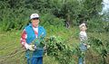 Миниатюра для версии от 12:33, 17 декабря 2024