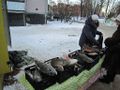 Миниатюра для версии от 22:18, 9 декабря 2024
