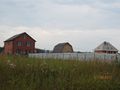 Миниатюра для версии от 17:18, 10 декабря 2024