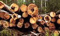 Миниатюра для версии от 08:36, 14 декабря 2024
