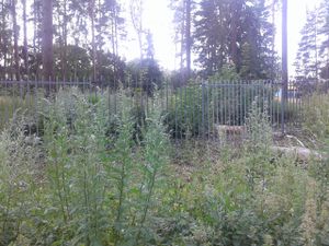 23c1f670a07427deaea15f1e1871ab01.jpeg