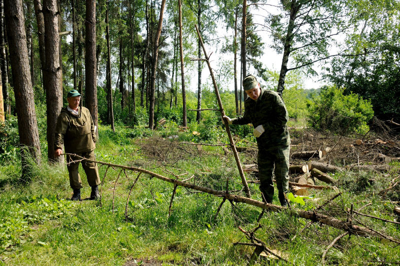 Файл:Ba0faf537e68f28ccc486680b46656f4.jpeg