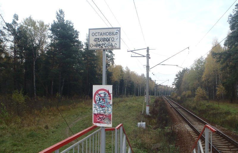 Файл:6f7f84d8645760cc559568c9ba4da3f5.jpeg