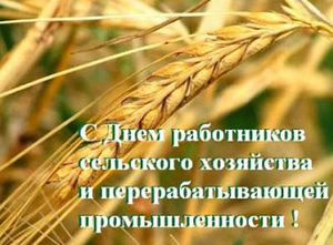 Bc4b3cd0a6c816540371bfb2b01adde0.jpeg