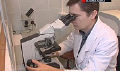 Миниатюра для версии от 17:01, 11 декабря 2024