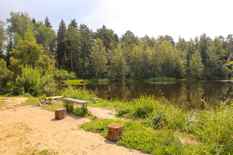 Файл:87f379a34afaef1c34b378809bbef826.jpeg