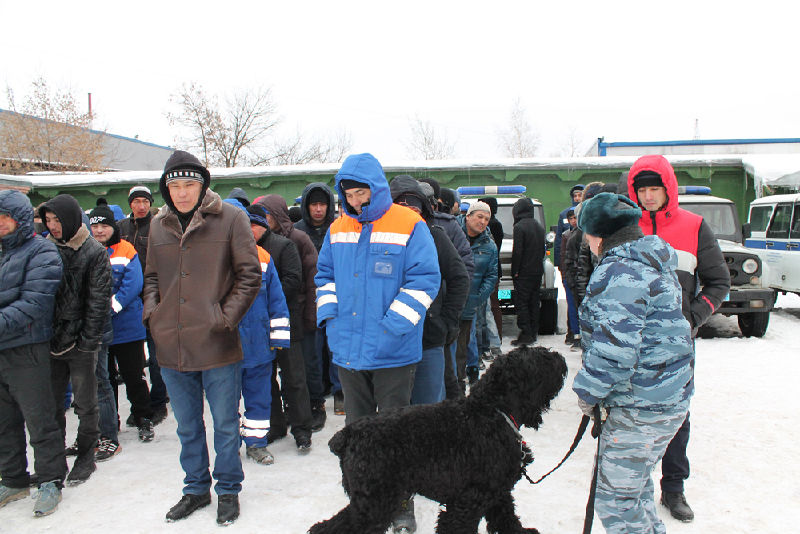 Файл:B0495f2e88b0c389867a10d8af35b63e.jpeg