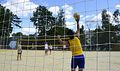 Миниатюра для версии от 20:42, 14 декабря 2024