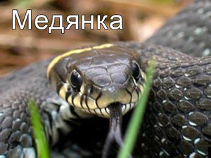 2863a21da7e3527ba51baf828e8f098a.jpeg