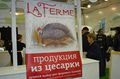 Миниатюра для версии от 15:20, 9 декабря 2024
