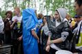 Миниатюра для версии от 18:51, 9 декабря 2024