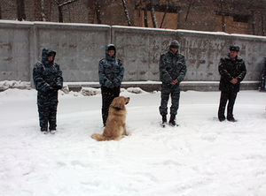 Cfc86b80cd6640066dc9cfea3ec6ce17.jpeg