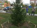 Миниатюра для версии от 04:37, 11 декабря 2024
