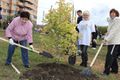 Миниатюра для версии от 17:53, 14 декабря 2024
